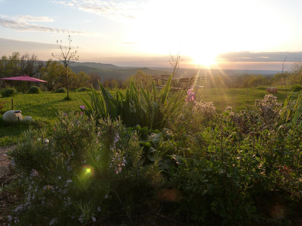 Bout De Cote Bed & Breakfast Lacam-dʼOurcet Екстериор снимка